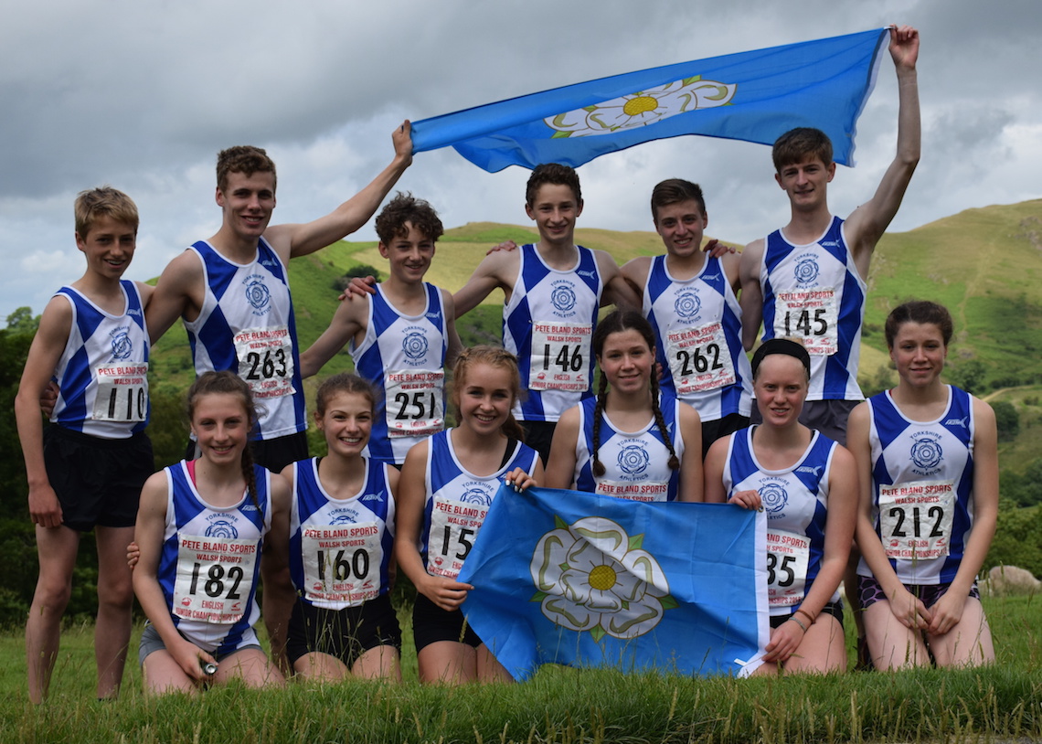 Golden Yorkshire Juniors